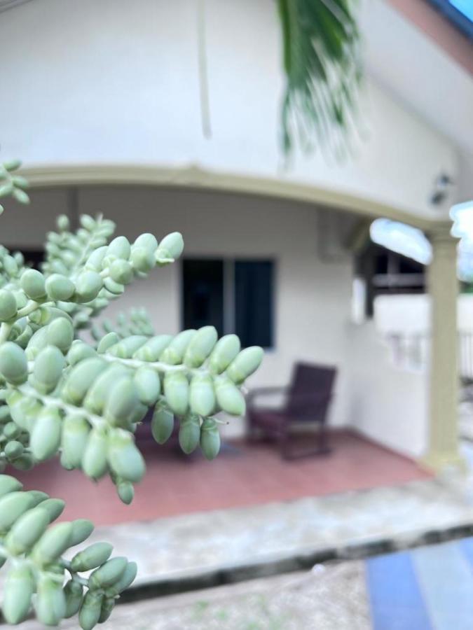 Dhania Cenang Beach Motel Pantai Cenang  Exteriör bild